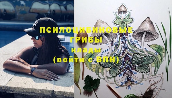 молекула духа Армянск