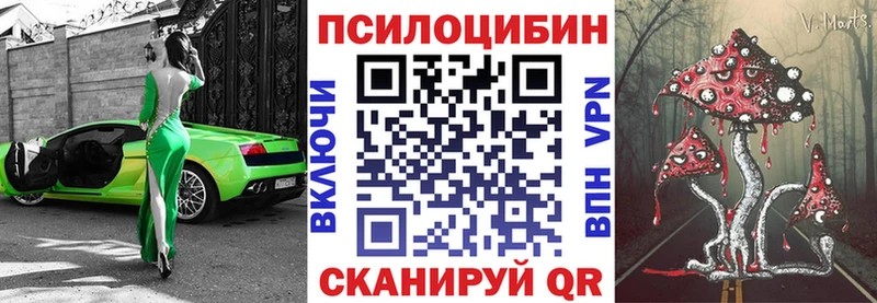 Псилоцибиновые грибы Psilocybe купить цена Чайковский
